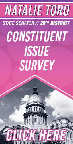 constituent survey